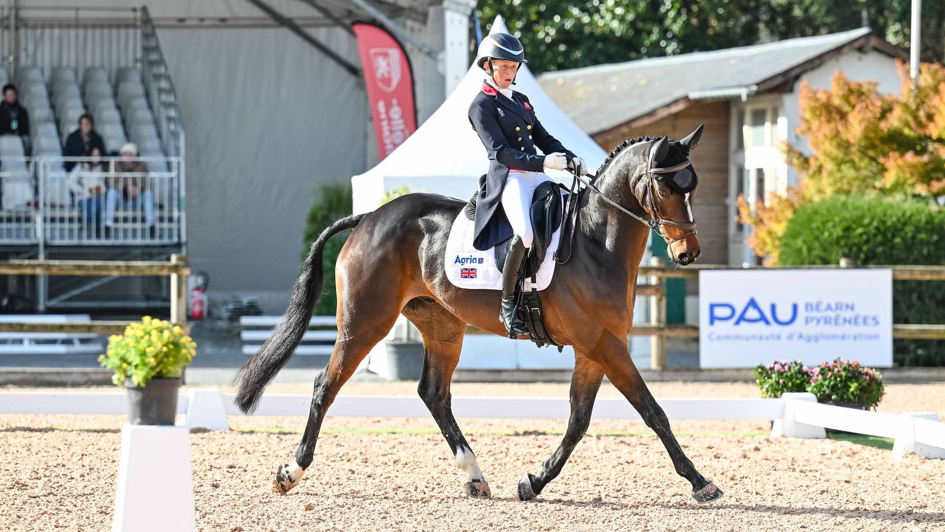 Ros Canter and MHS Seventeen in Pau Horse Trials dressage phase