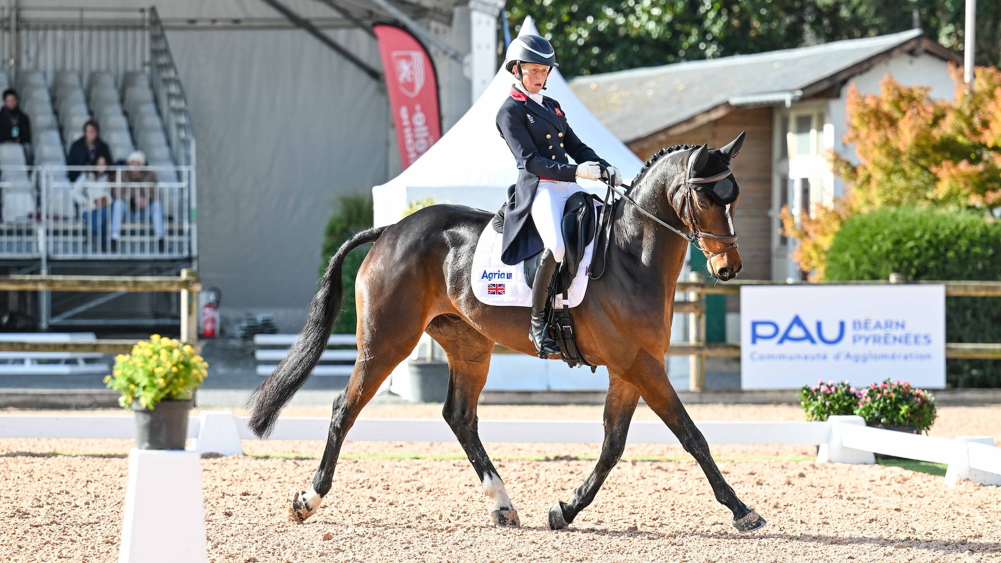 Ros Canter and MHS Seventeen in Pau Horse Trials dressage phase