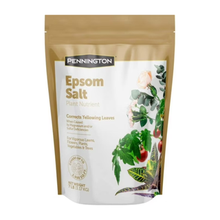 A packet of Epsom salt