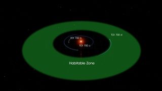 The three planets of the TOI 700 system orbit a small, cool M dwarf star. TOI 700 d is the first Earth-size habitable-zone world discovered by TESS.