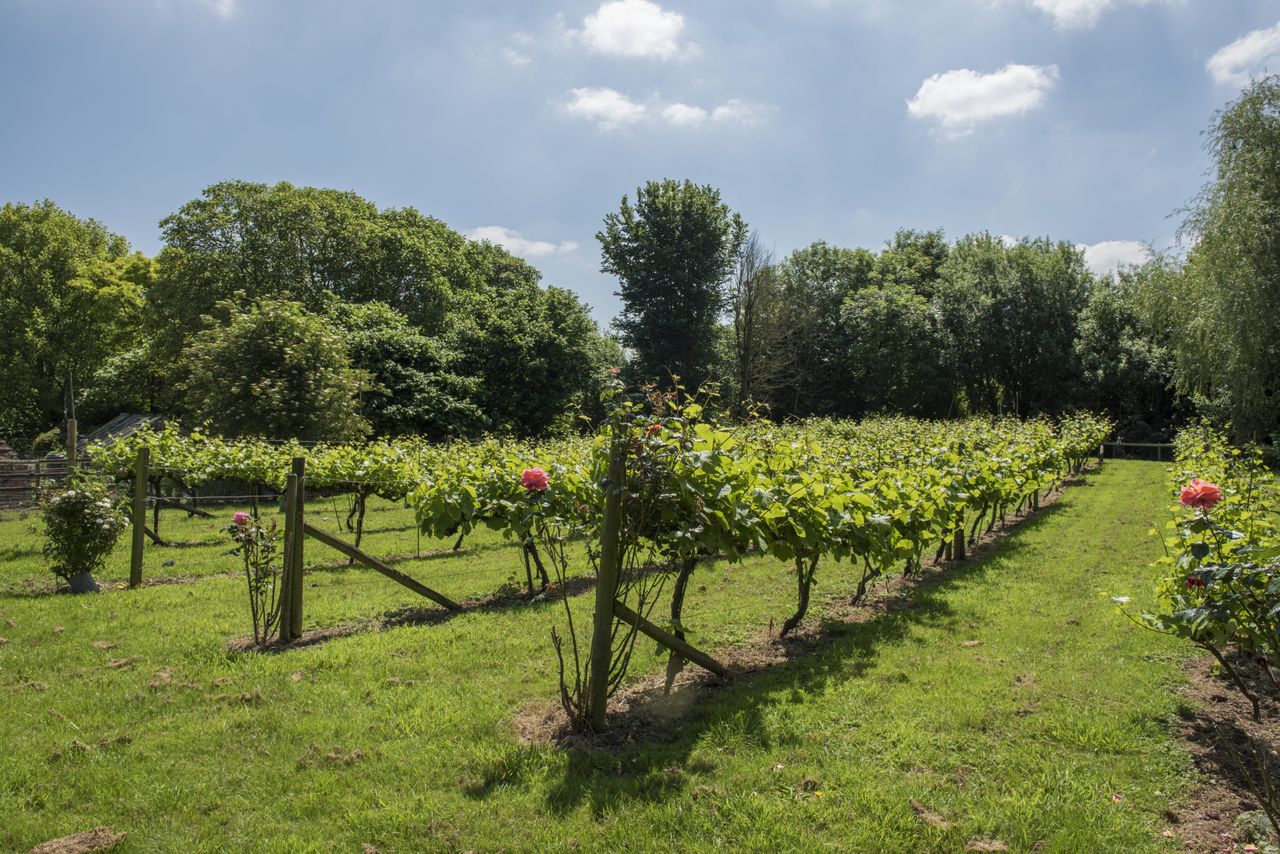 Tuckerton Farm