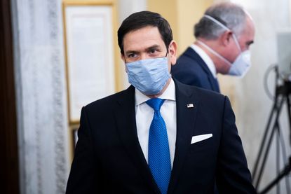 Marco Rubio.