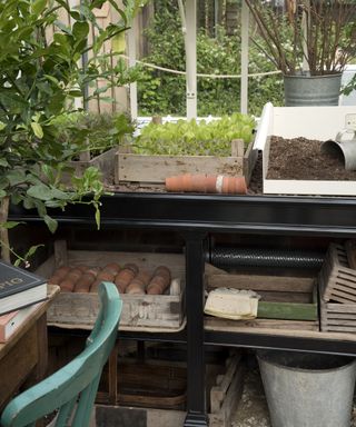 An organized greenhouse potting station