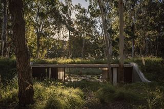 Argentinian retreat engulfed in greenery