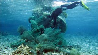 Russell Reardon dives in the waters of Midway Atoll on March 31, 2013, to remove a fishing net from a coral reef.
