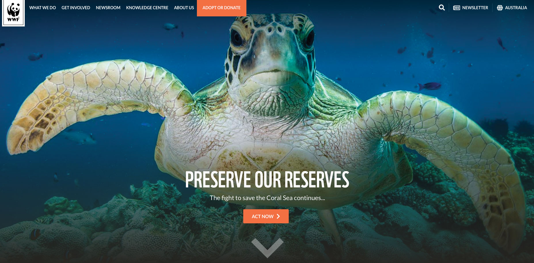 Stunning and informative – this site is a must-visit
