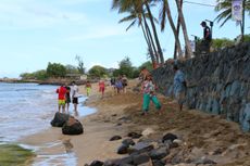 A petroglyph on the Hawaiian shoreline.