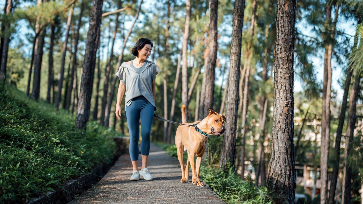 Vet shares six ways walking with your dog can boost your mental health ...