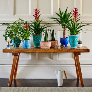 plant pot on wooden table