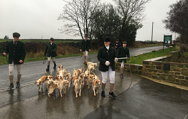 A wet day in North Yorkshire didn't deter Gemma Stanish, huntsman of the Claro Beagles, or her whippers-in