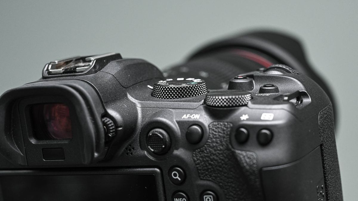 Canon EOS R6 review | Space