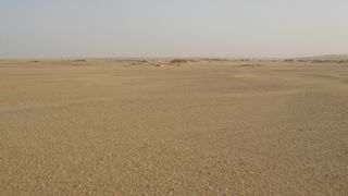 The Djurab Desert in Chad, where researchers excavated the fossil remains of Sahelanthropus tchadensis.
