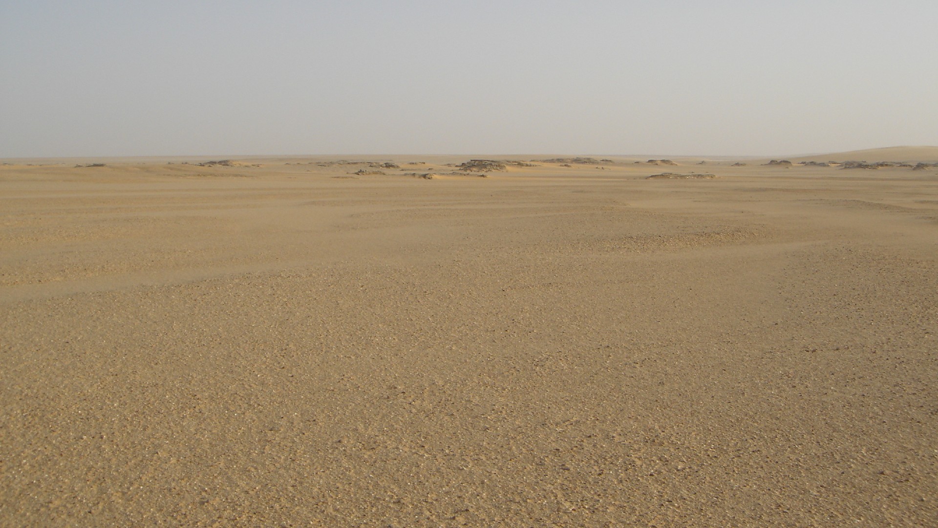 चाड में दजुराब रेगिस्तान, जहां शोधकर्ताओं ने सहेलथ्रोपस टचडेन्सिस के जीवाश्म अवशेषों की खुदाई की।