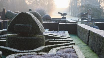 protecting plants from frost