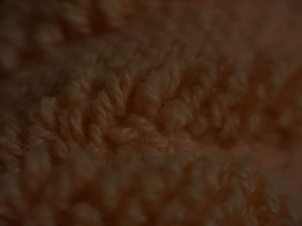 Shiftcam 240mm Super Zoom Tele macro sample.