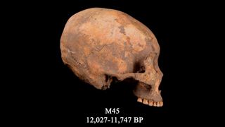 M45 skull