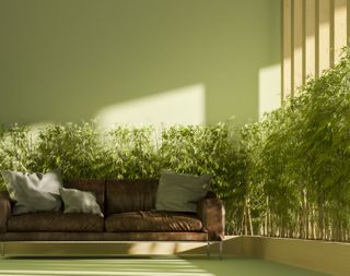 A living room with tall bamboo plants