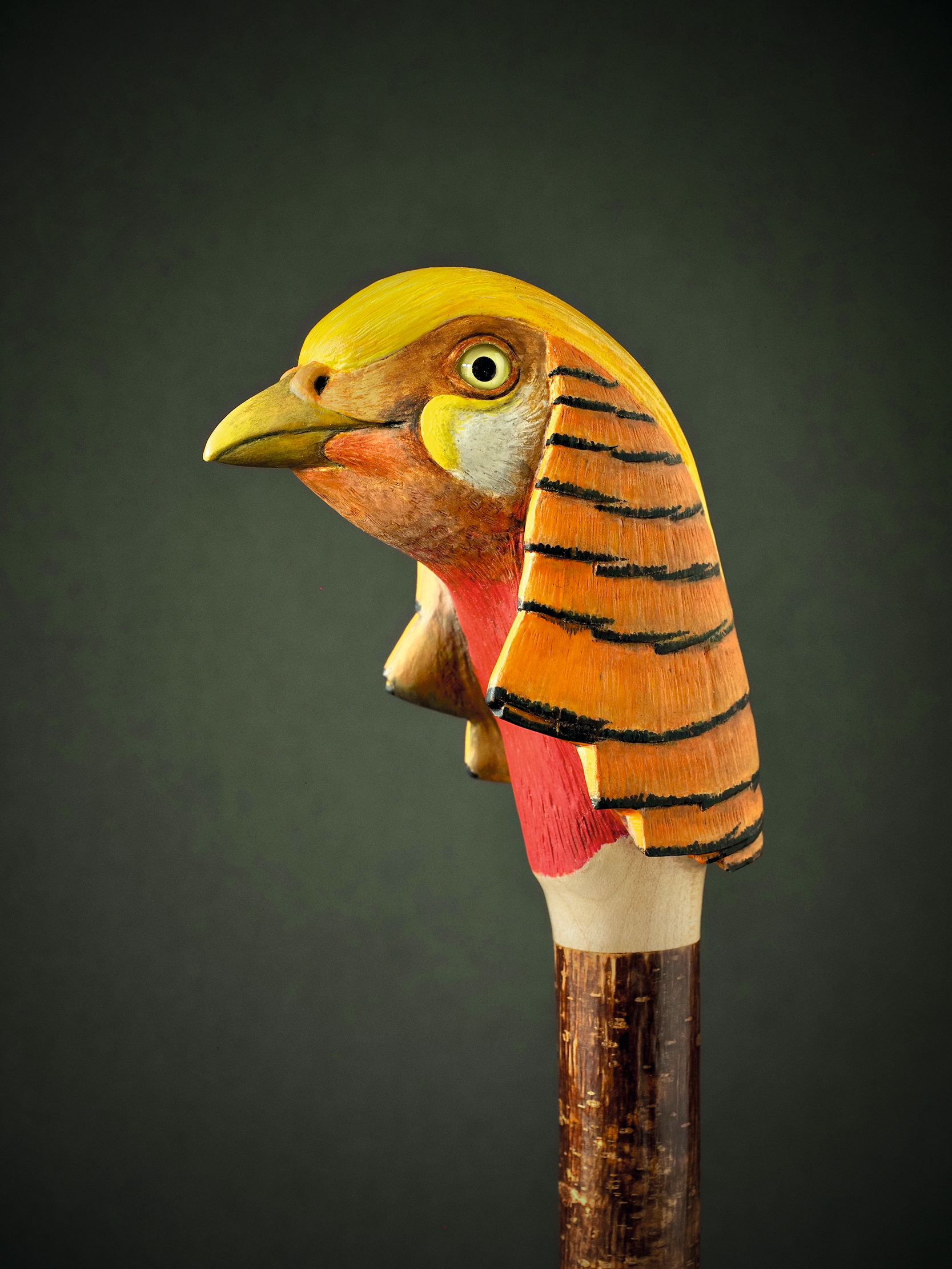 Colourful walking sticks by Raif Killips