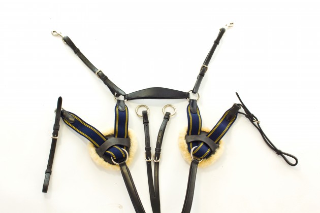 1.- HyCLASS - Premium Breastplate - 2