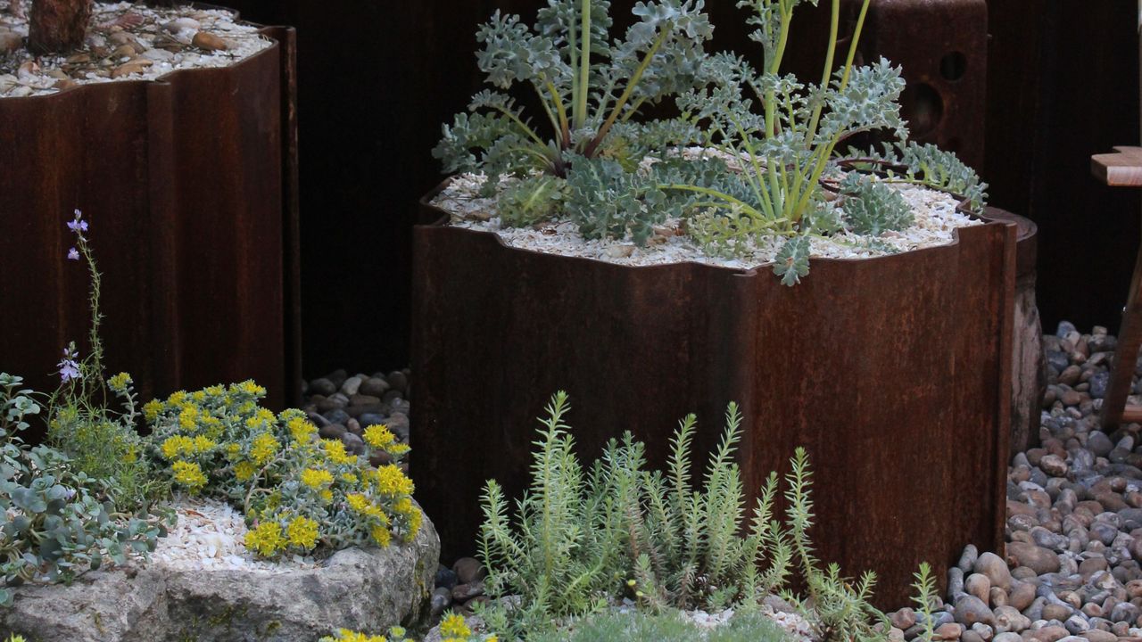 Corten steel planters at RHS Chelsea Flower Show