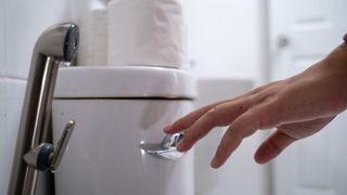 woman flushing the toilet