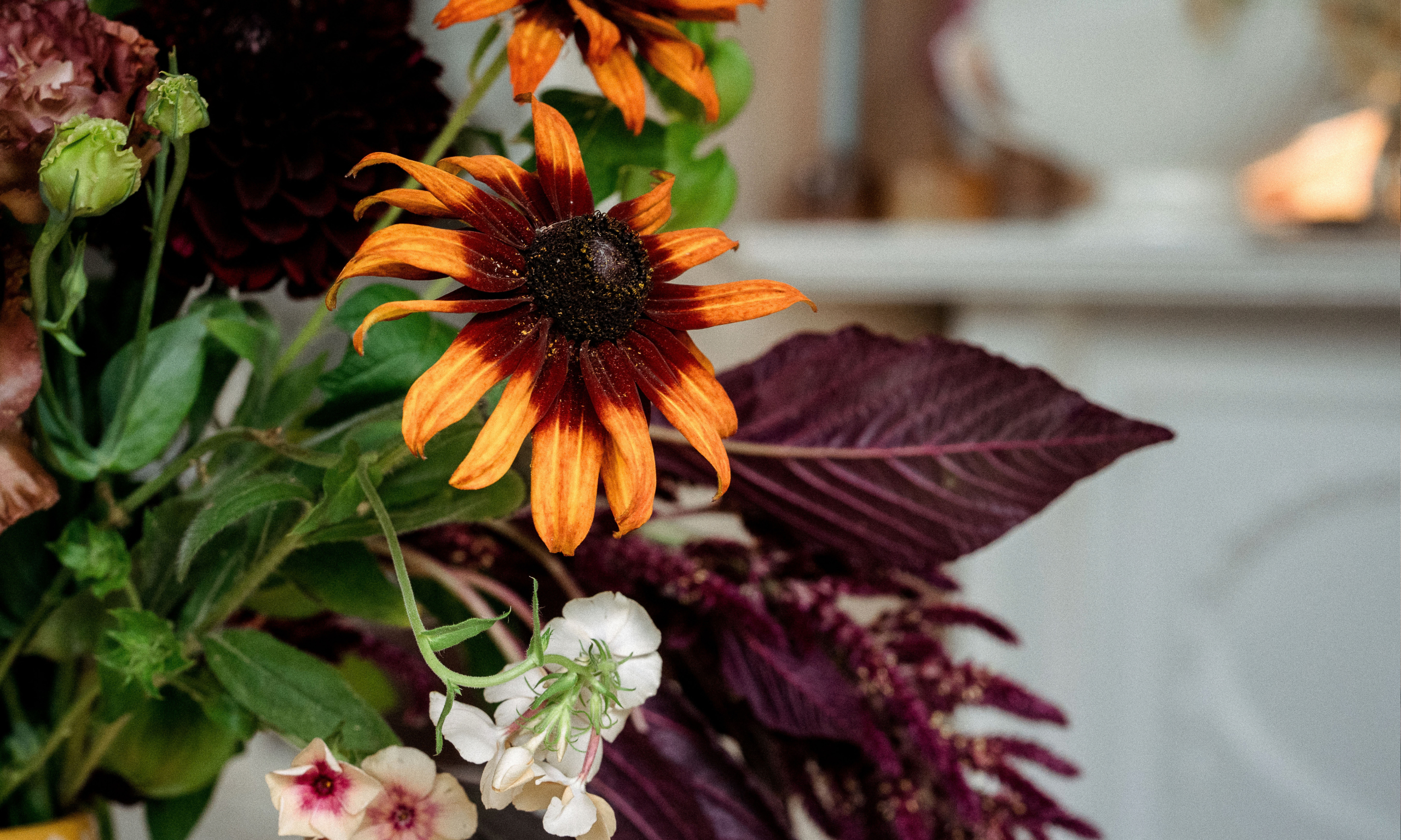 Autumn flowers and burgundy rudbeckia