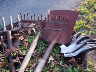 garden tools and cuttings