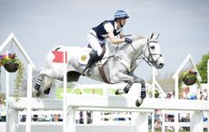 Balmoral Sensation injured