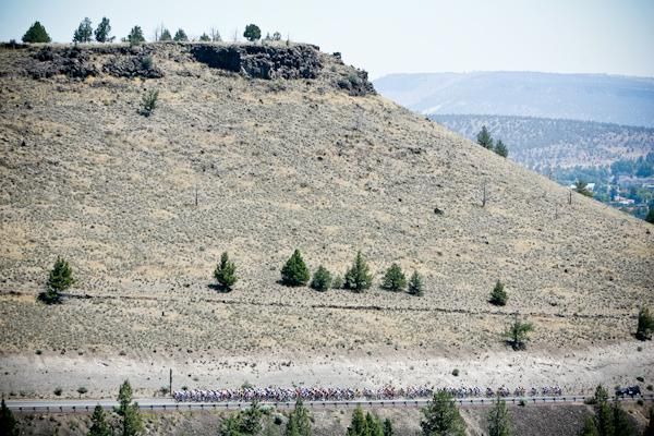 Rolly hills today as the field approaches the King of the Mountains point.
