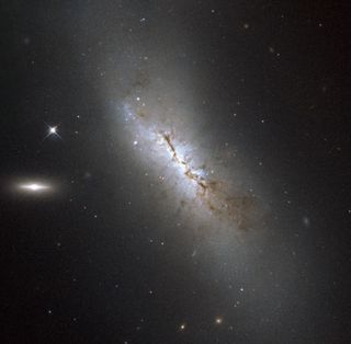 Galaxy NGC 4424