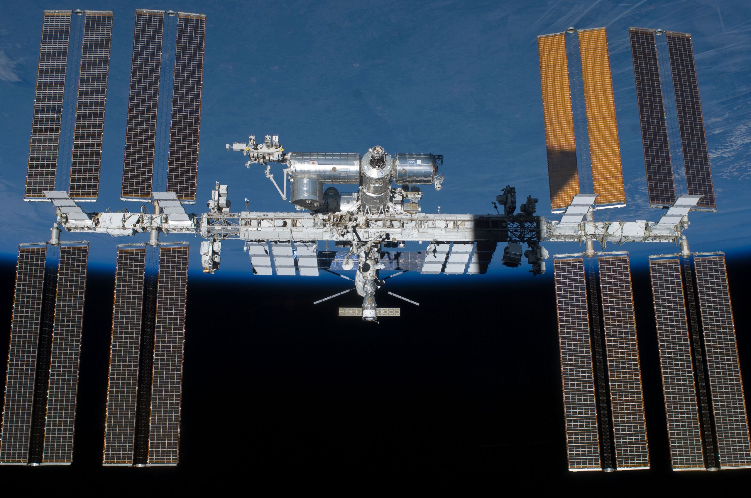 Life Evolves Adaptions to Microgravity | Space