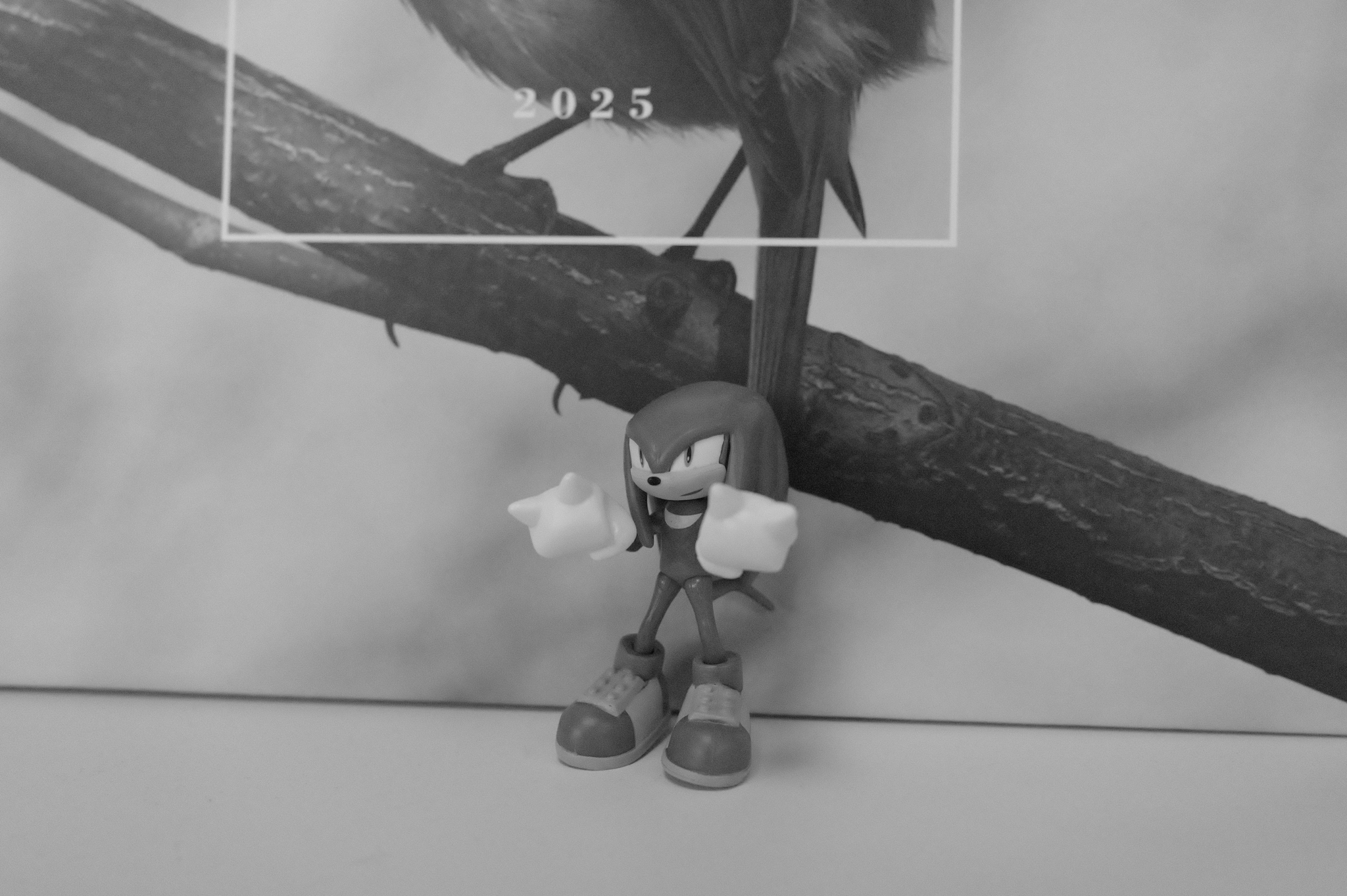 A photo taken on a Leica Q3 Monochrom black-and-white camera