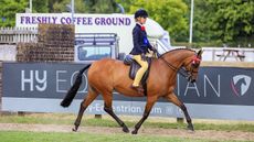 Part_Bred_Championship_Saturday_2Q8A5750.jpg