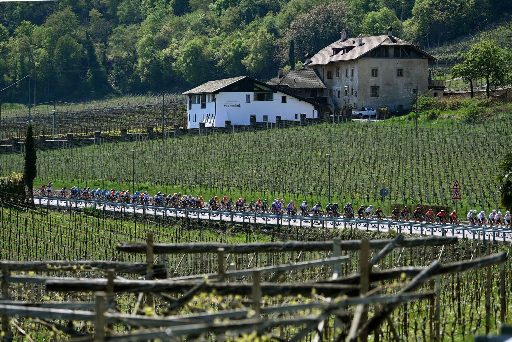 BOLZANO LANA ITALY APRIL 19 A general view of the peloton passing through a vineyards fields landscape during the 45th Tour of the Alps 2022 Stage 2 a 1541km stage from PrimieroS Martino di Castrozza to Lana TouroftheAlps on April 19 2022 in Bolzano Lana Italy Photo by Tim de WaeleGetty Images