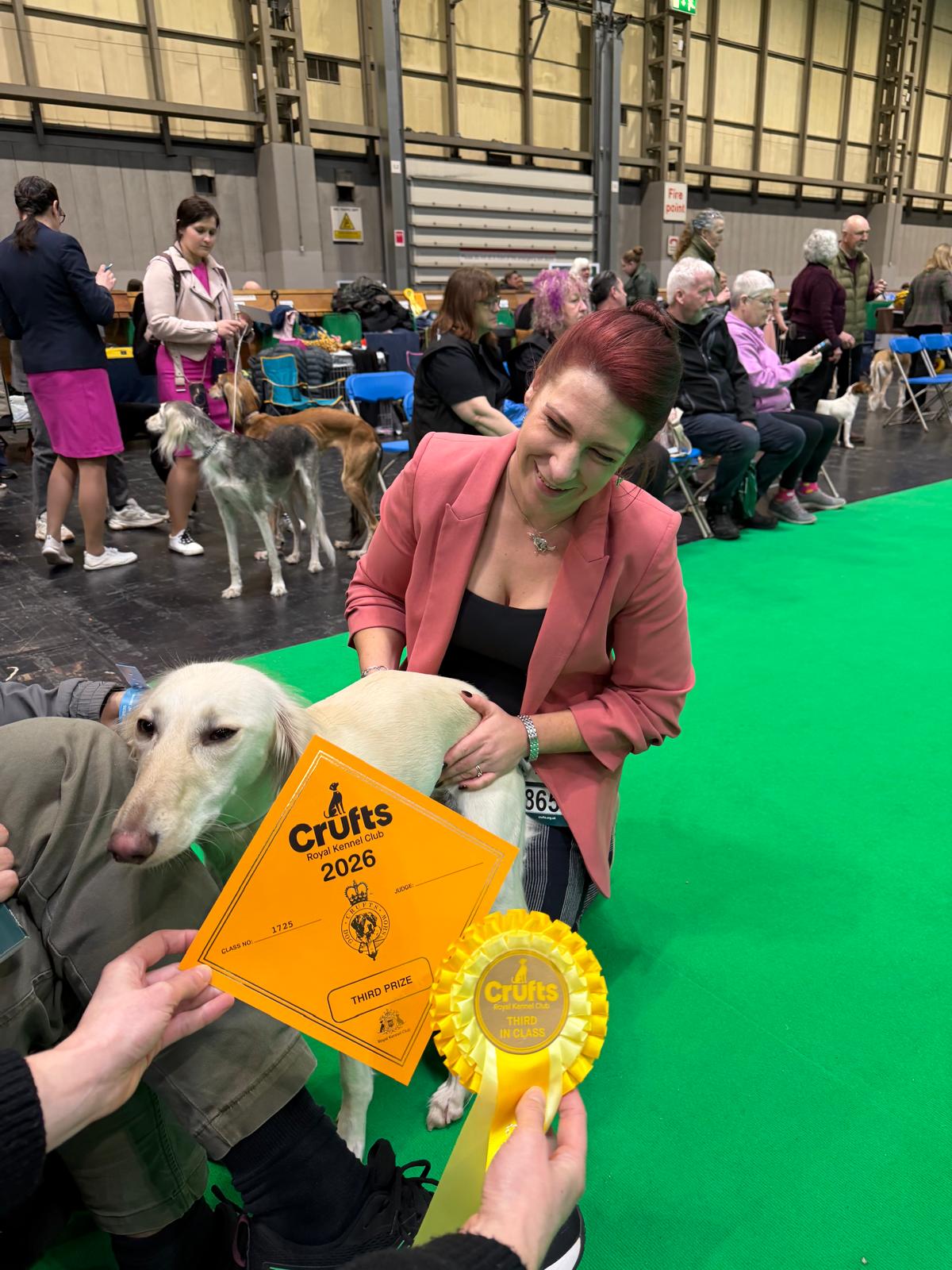 Vega the saluki winning third place at Crufts