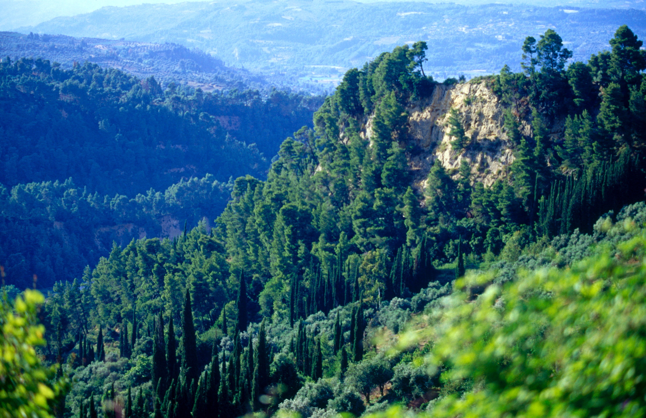 The arcadia region of Greece