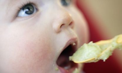 Spoon-fed babies may be more likely to become obese than those who eat with their fingers, a new study finds. 