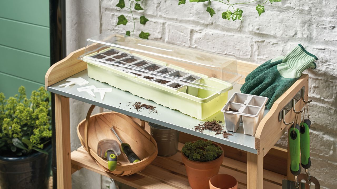 Aldi windowsill greenhouse on potting bench