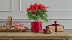 A poinsettia in a red pot on a wood sideboard by a woven tray of baubles and a pair of brown paper presents with red ribbons