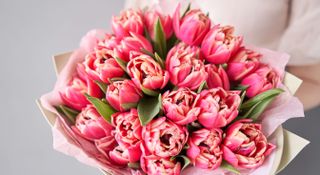 Pink bouquet of tulips