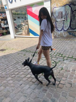 Sofia walking a dog