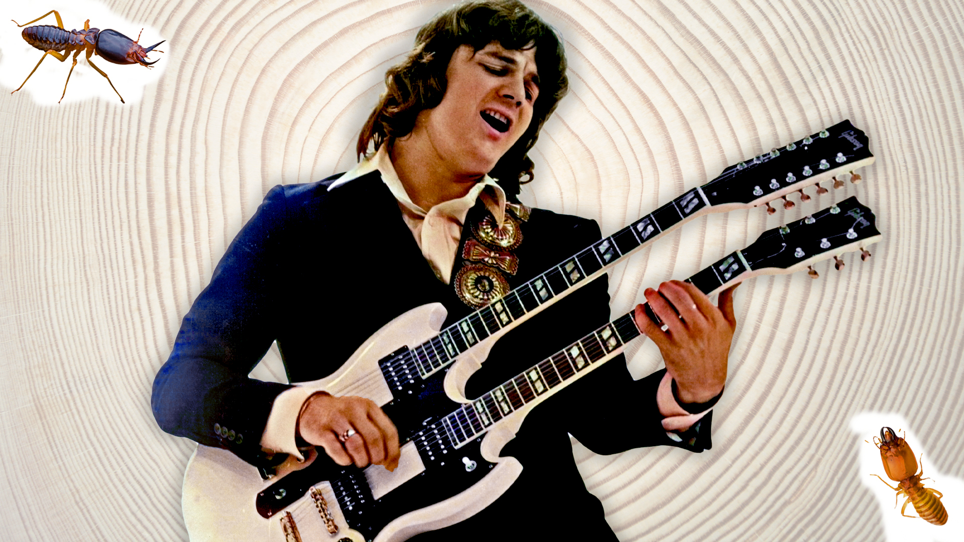 A composition photo showing Steve Miller circa 1970s against a woodgrain surface being eaten away by two termites. This photo accompanied a story about an urban myth related to the effect of Miller's music, and rock music more generally, on termites