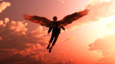 An illustration of a human with angel-like wings flying into the sunset