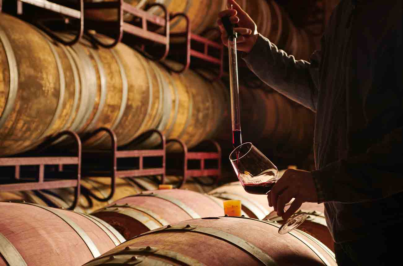 Testing red wine at Vi&amp;ntilde;edos El Pacto winery