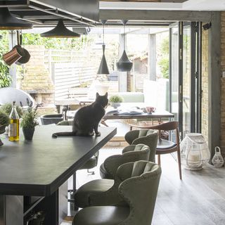 room with wooden flooring and cat on worktop