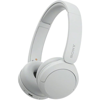 Sony WH-CH520 headphones