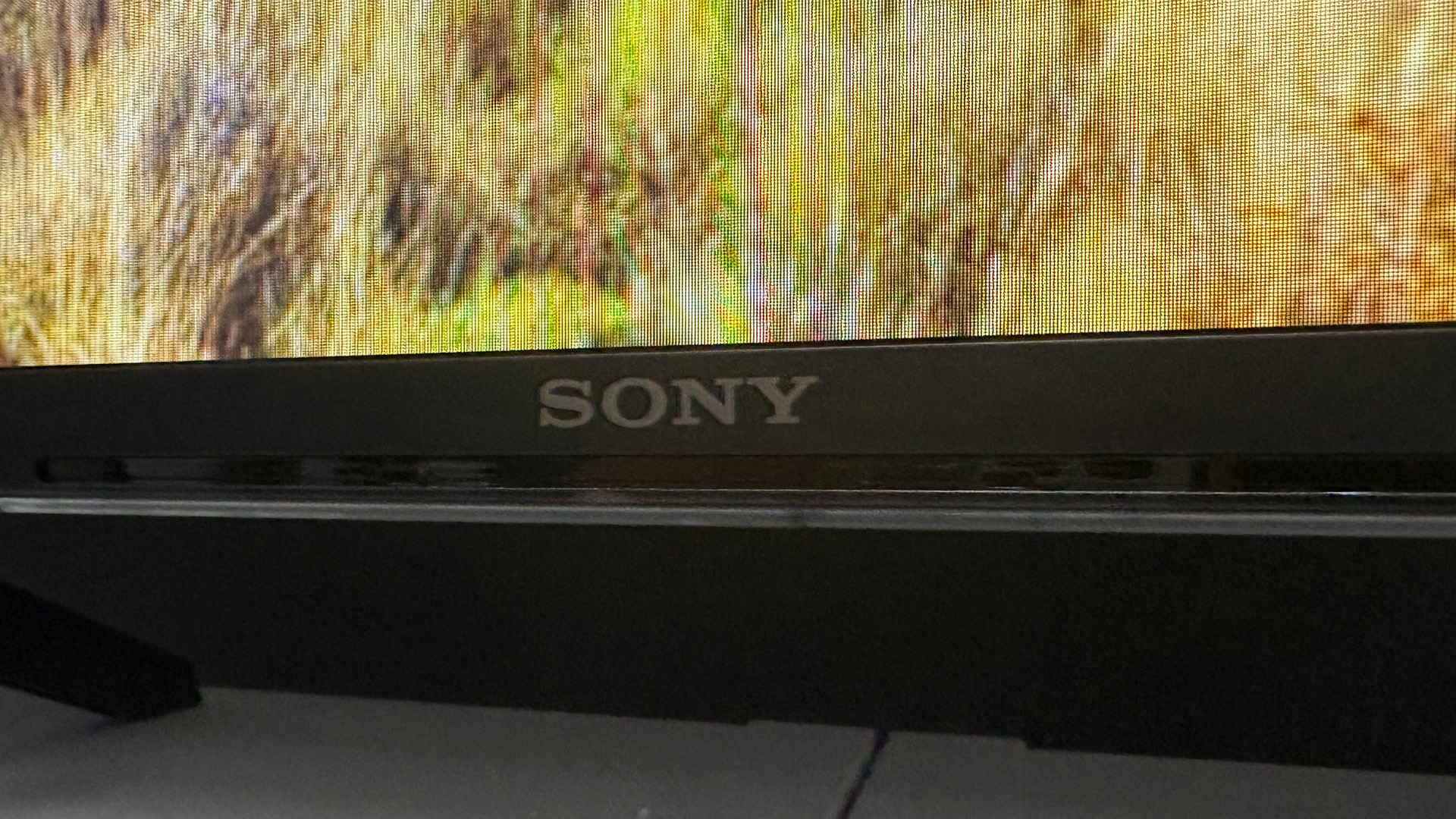 Sony Bravia 3 65-inch 4K TV detail of bottom of screen and Sony logo