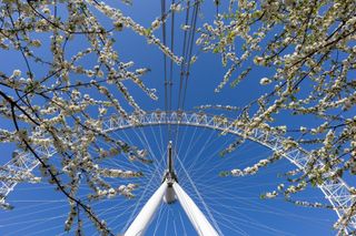 A wide-angle view of the London Eye in spring