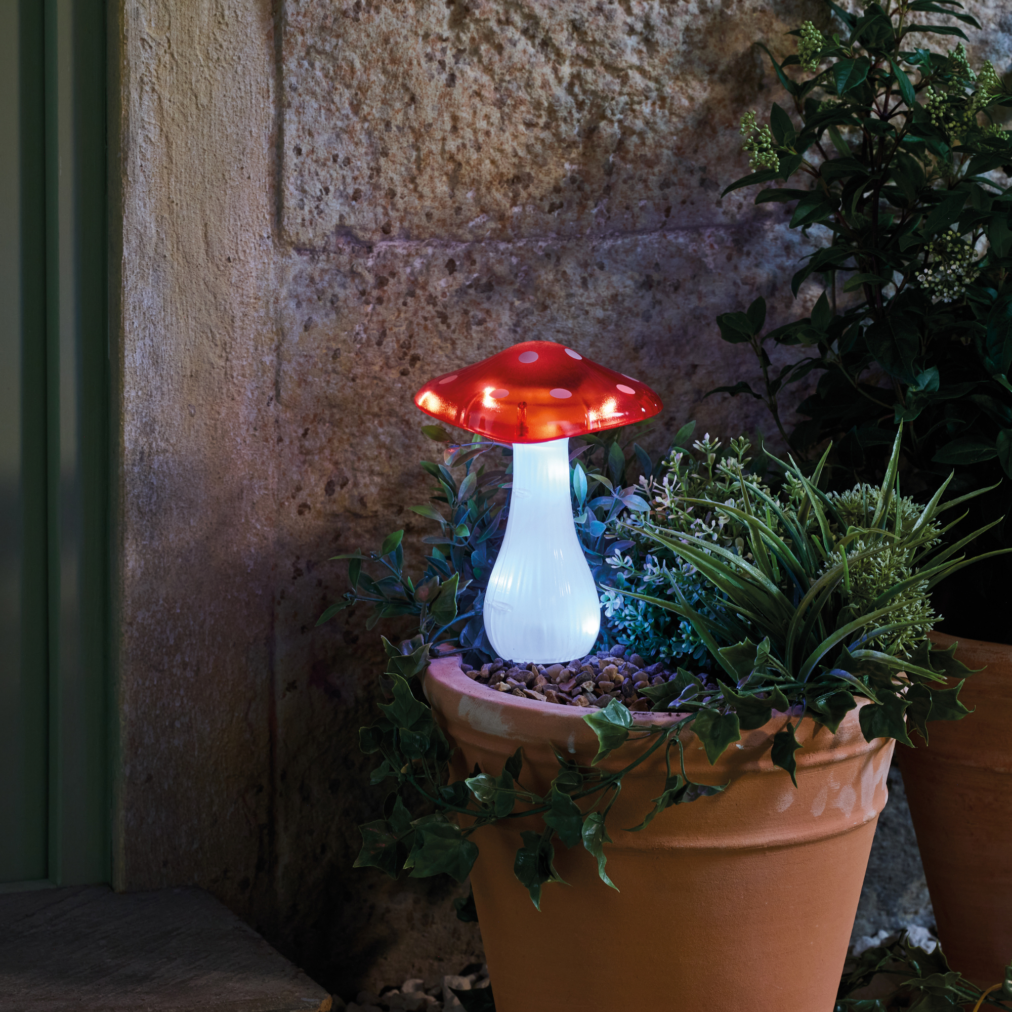 Aldi Mushroom stakelight in a terracotta pot.