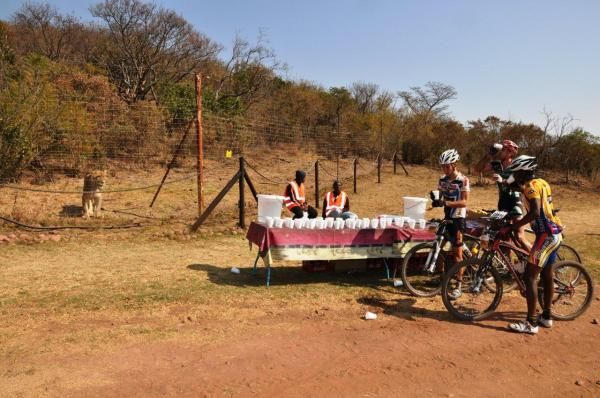 A young male lion keeps a watchful eye on the riders refuelling at a water point.